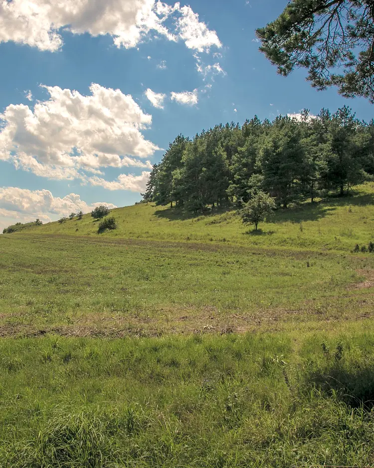 Alte Schule Stegelitz - Uckermark, Deutschland | Good Travel