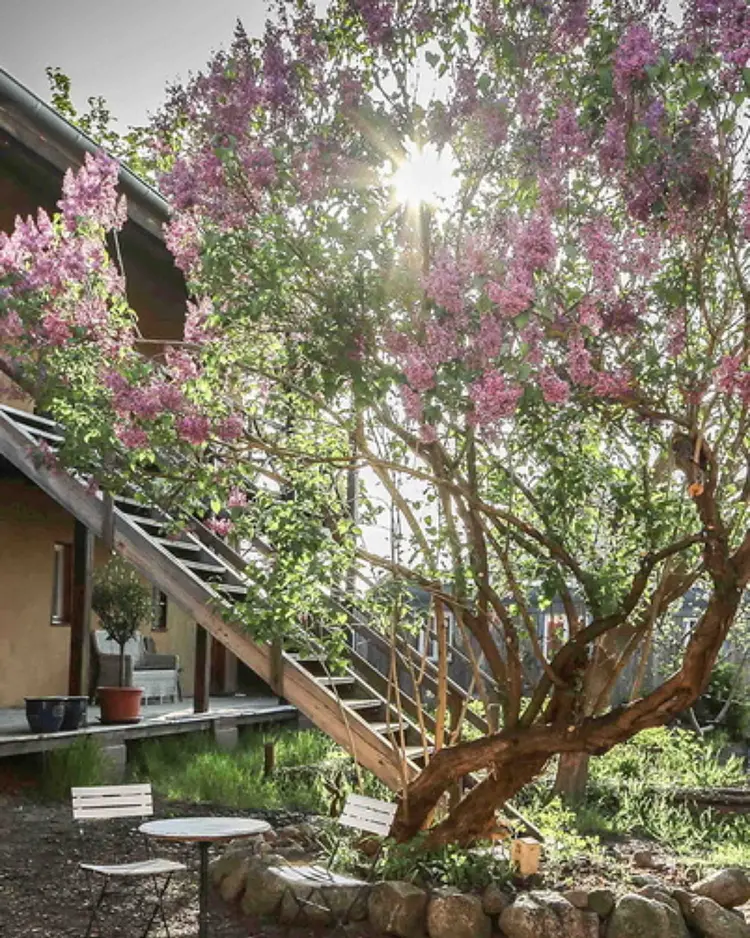 Alte Schule Stegelitz - Uckermark, Deutschland | Good Travel