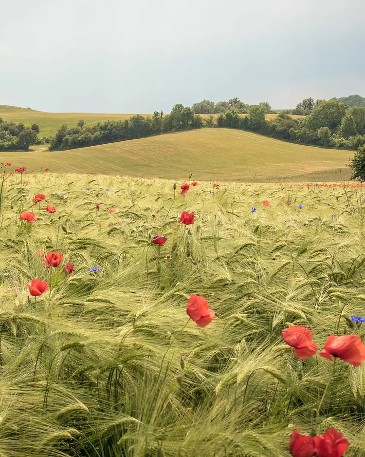 Alte Schule Stegelitz - Uckermark, Deutschland | Good Travel