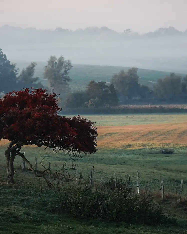 Alte Schule Stegelitz - Uckermark, Germany | Good Travel