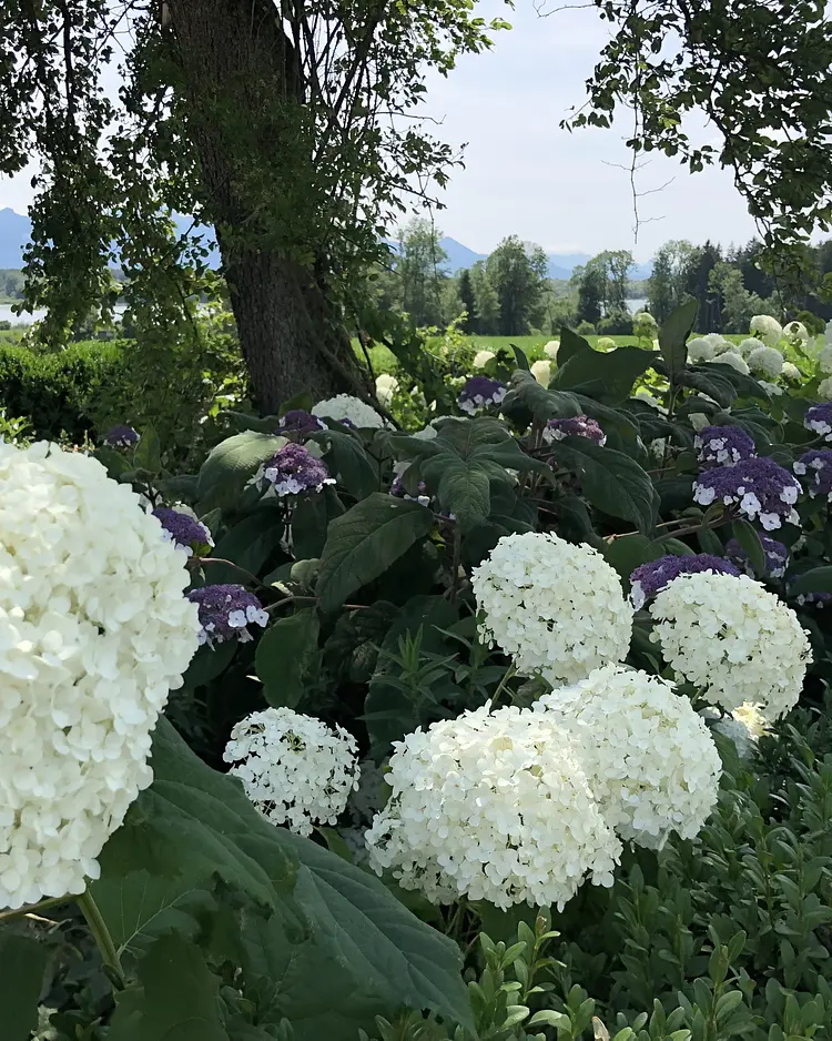 Schneeganserhof - Grabenstätt (Chiemsee), Deutschland | Good Travel