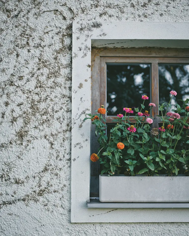 Biohotel Pausnhof - St. Oswald, Deutschland | Good Travel