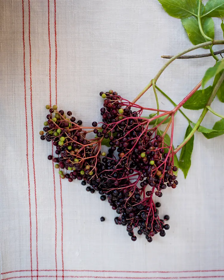 Biohotel Pausnhof - St. Oswald, Deutschland | Good Travel