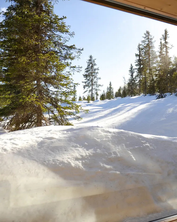 Norwegian Wood - Trysil, Norwegen | Good Travel