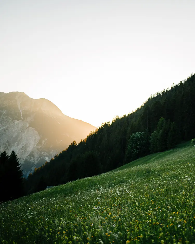 cabinski Montafon - St. Gallenkirch, Austria | Good Travel