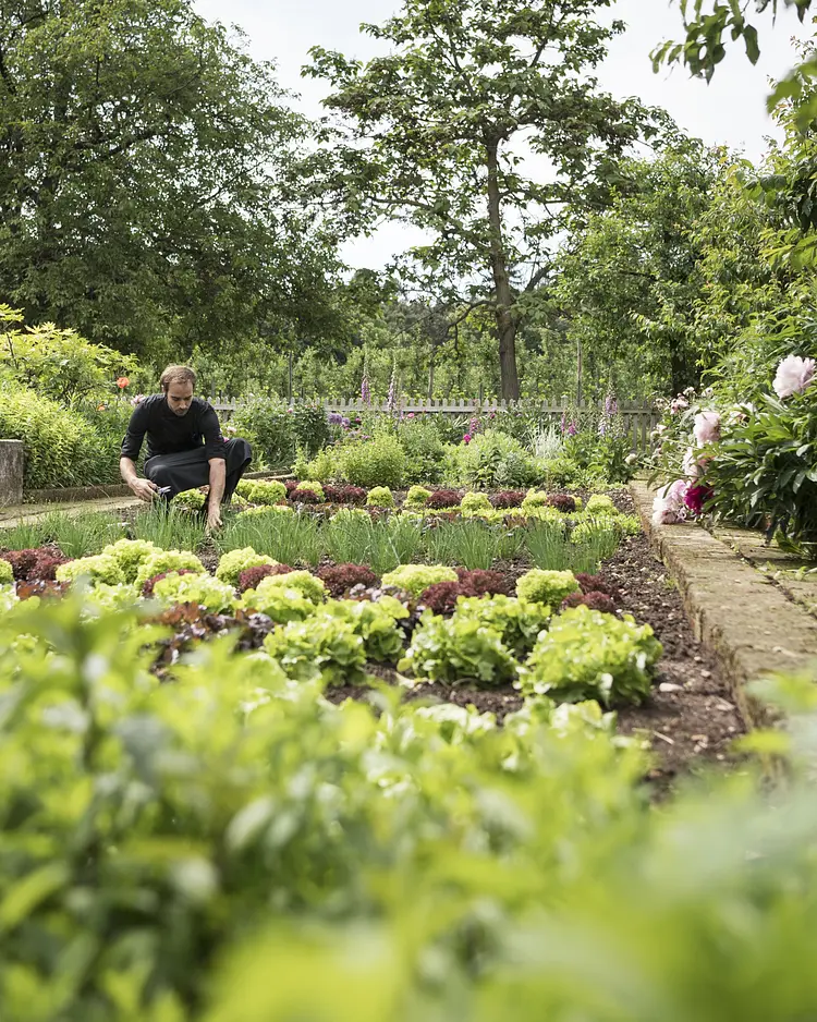 Stroblhof - Eppan, Italy | Good Travel