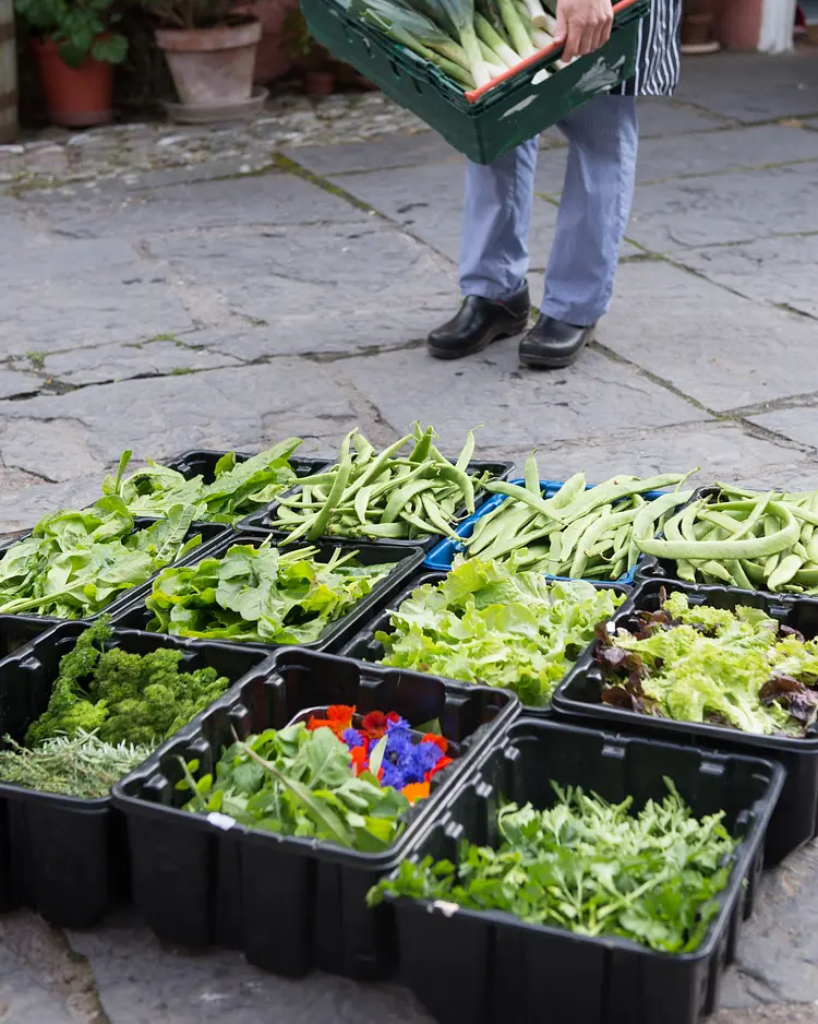 Ballymaloe - Shanagarry, Irland | Good Travel