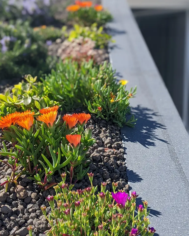 The Monsignor's Estate - Mola di Bari, Italy | Good Travel