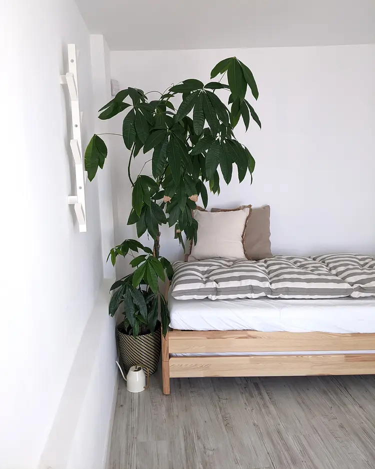 The Monsignor's Estate - Mola di Bari, Italy | Good Travel