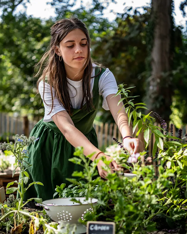 Les Cabanes d'Ostende - Ostend, Belgium | Good Travel