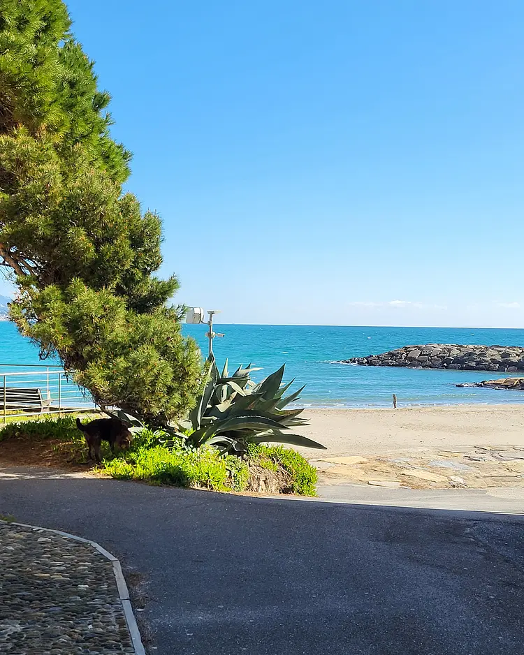 Oliva Azzurra - Prelá, Italy | Good Travel
