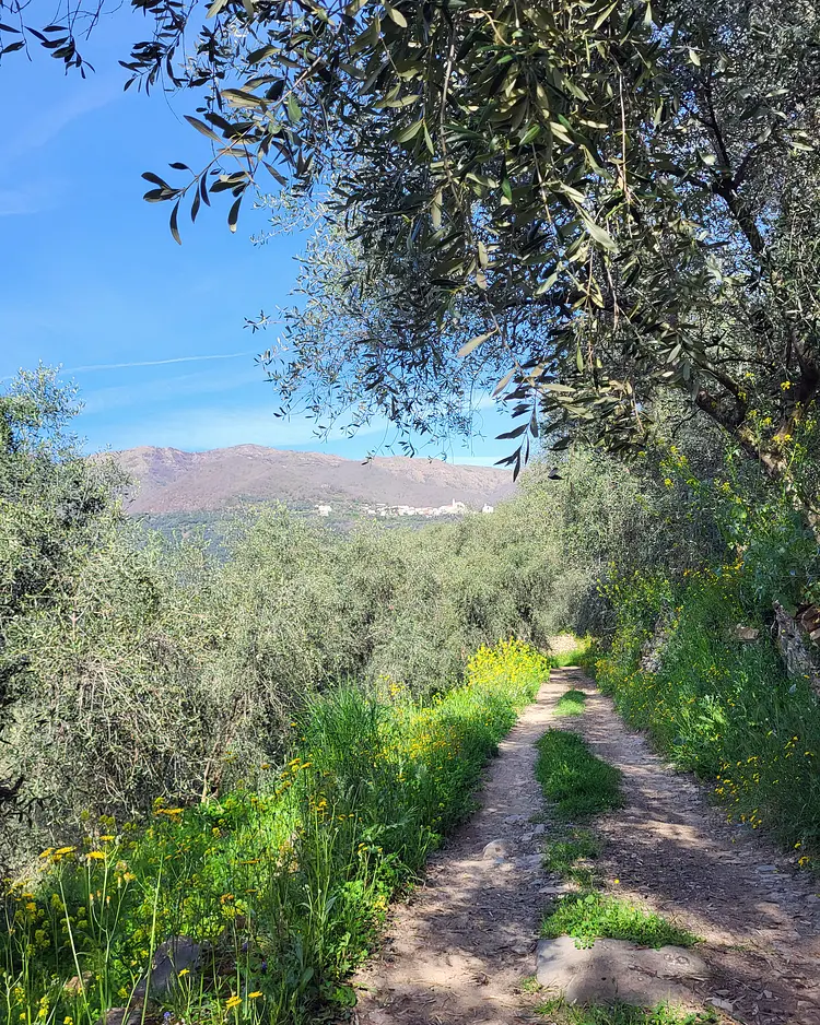 Oliva Azzurra - Prelá, Italien | Good Travel