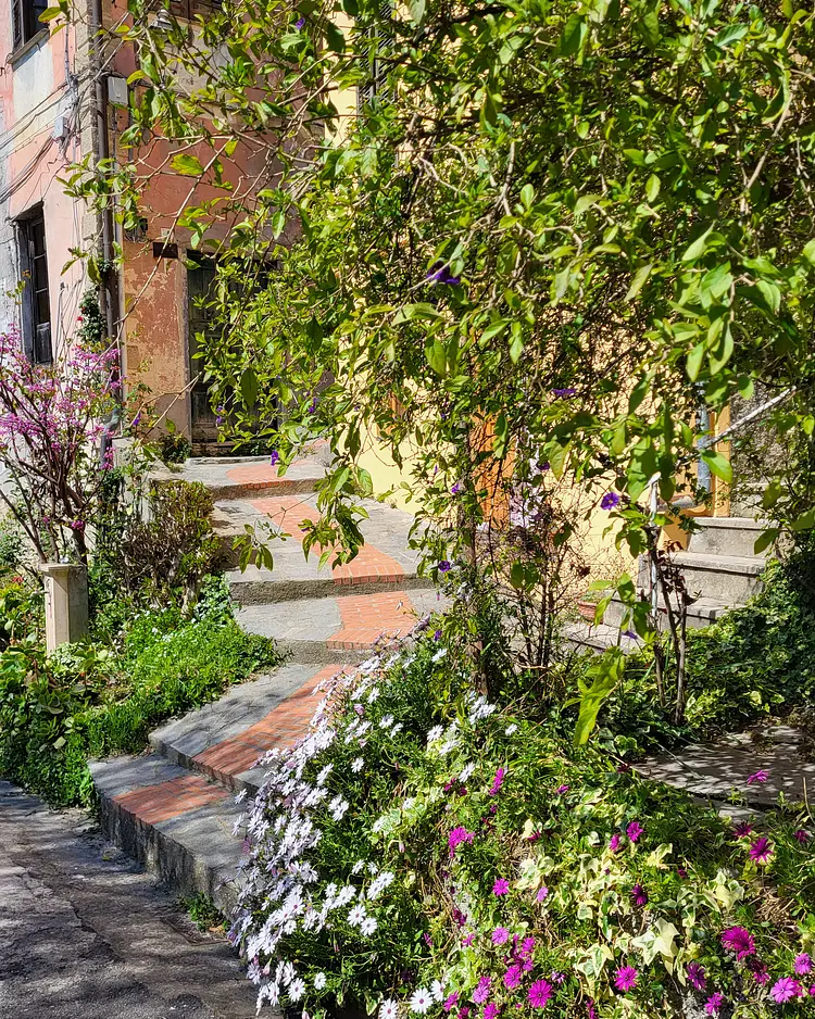 Oliva Azzurra - Prelá, Italien | Good Travel