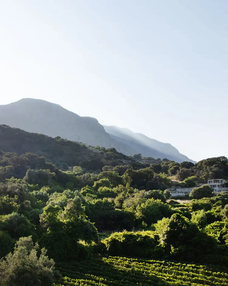 meraki studios - Kissos, Griechenland | Good Travel