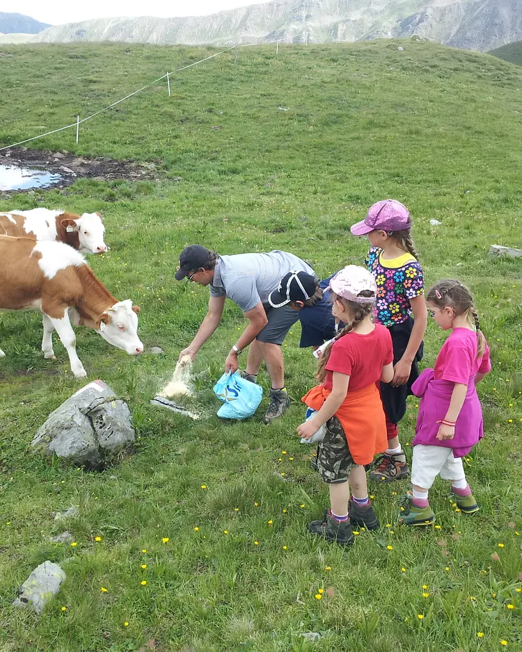 Alfenalm - Innervillgraten, Österreich | Good Travel