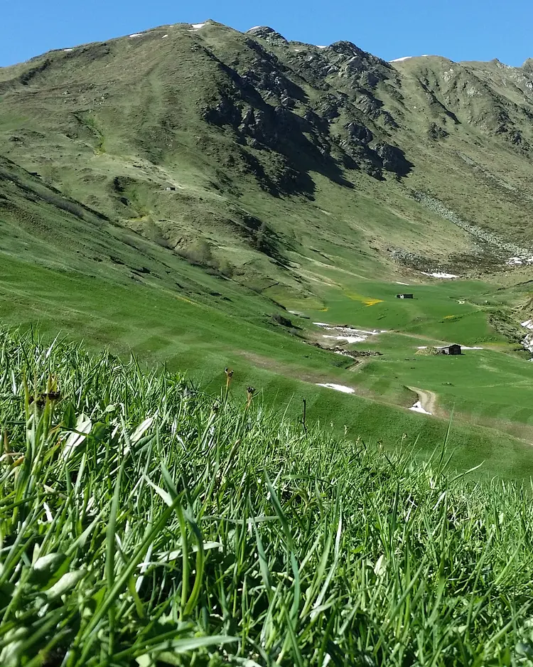 Alfenalm - Innervillgraten, Österreich | Good Travel