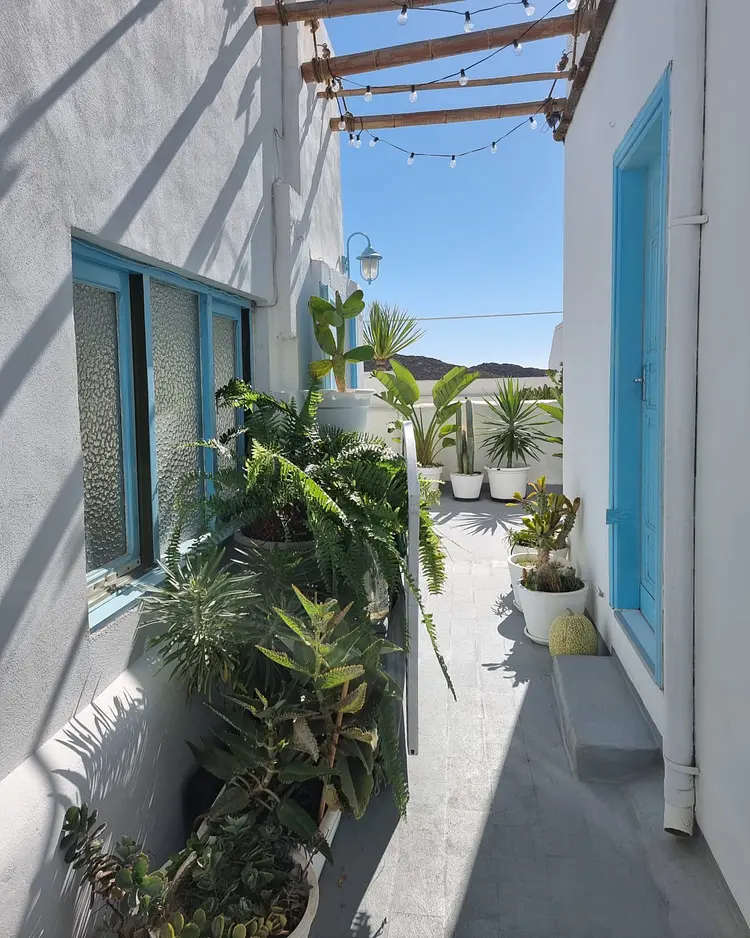 Cool Canaria - Gran Canaria, Spanien | Good Travel
