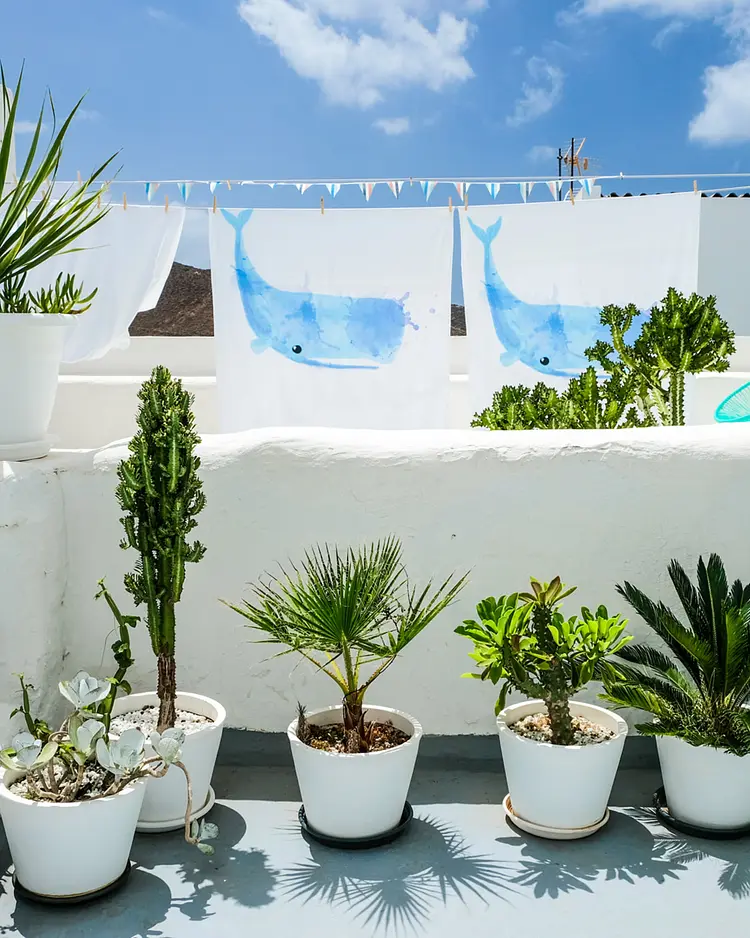 Cool Canaria - Gran Canaria, Spanien | Good Travel