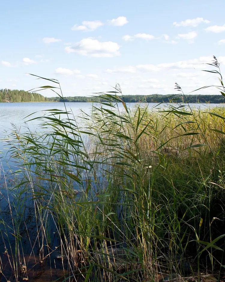 Kaidan Kiho Villas - Ristiina, Finland | Good Travel