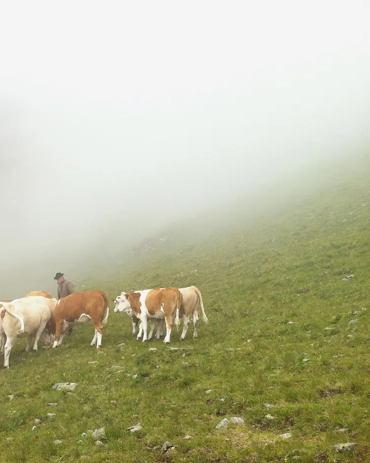 Alfenalm - Innervillgraten, Österreich | Good Travel