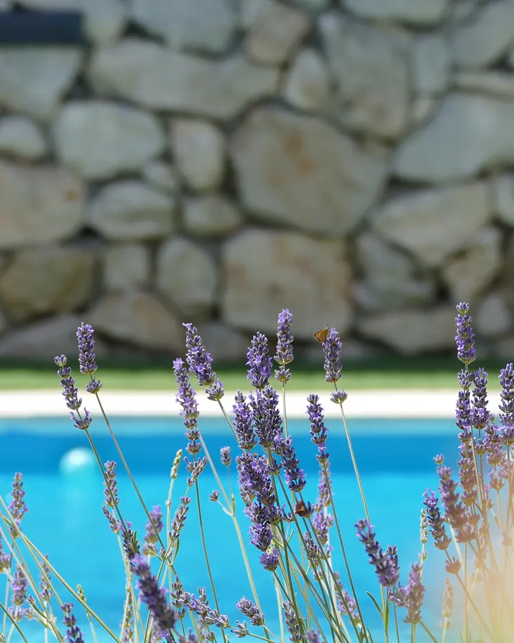 Kalpic Suites & Villa - Radonić, Croatia | Good Travel