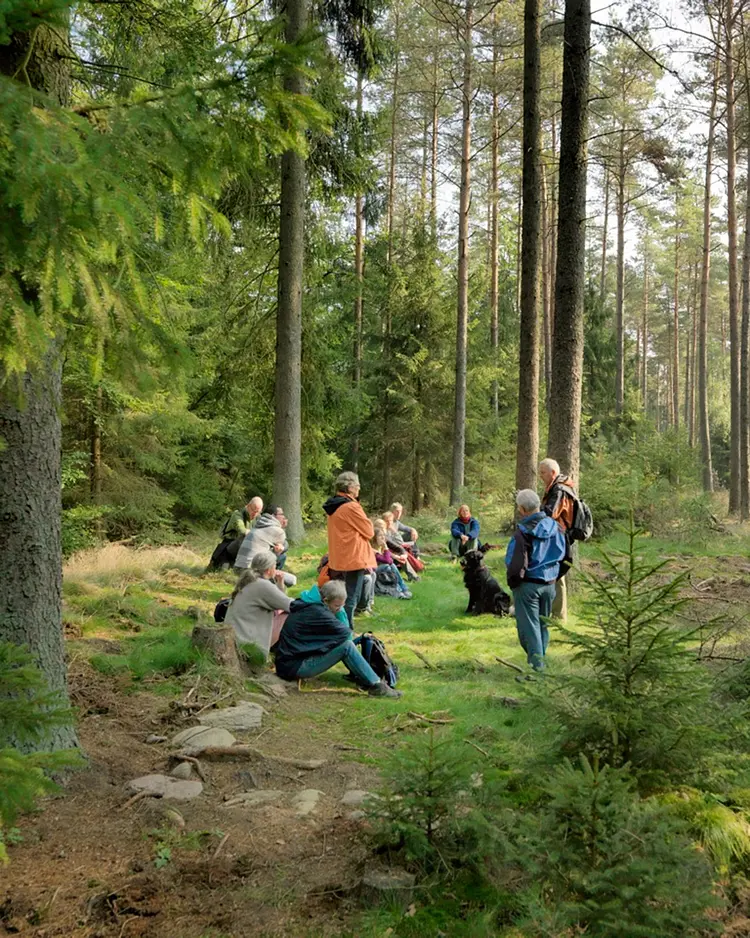 Kenners LandLust - Göhrde, Germany | Good Travel