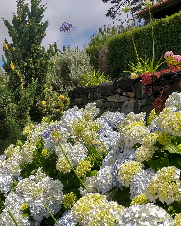 Achadinha - Arco da Calheta, Portugal | Good Travel