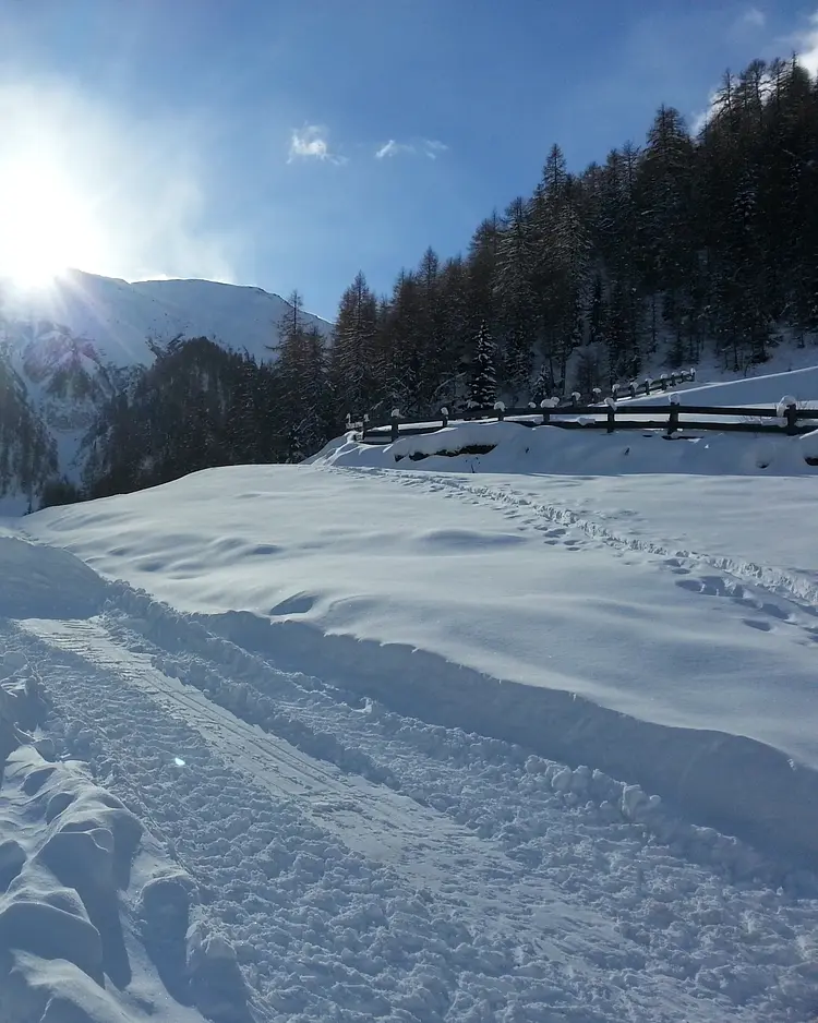 Alfenalm - Innervillgraten, Austria | Good Travel