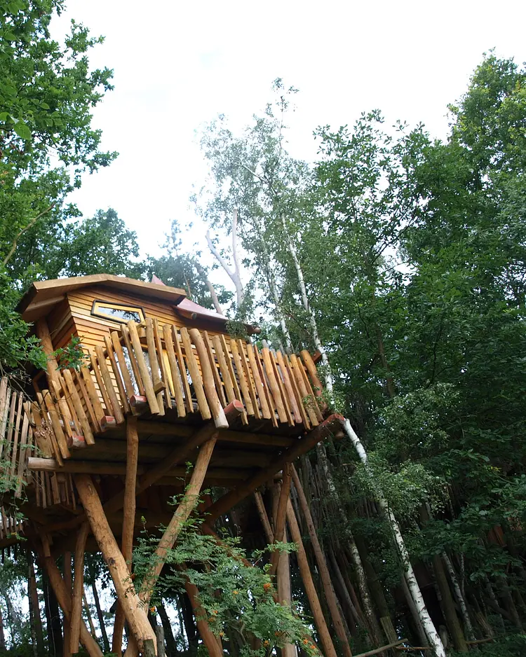 Kulturinsel - The secret world of Turisede - Neißeaue, Germany | Good Travel