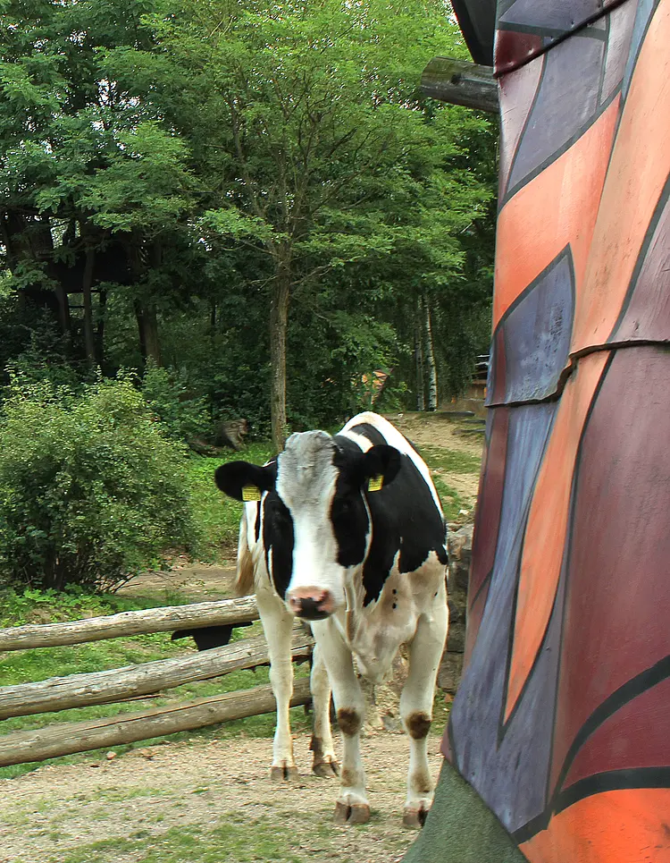 Kulturinsel - The secret world of Turisede - Neißeaue, Germany | Good Travel