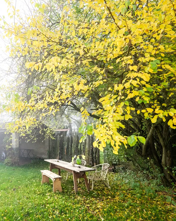 Kunterbunthof - Züsow, Deutschland | Good Travel