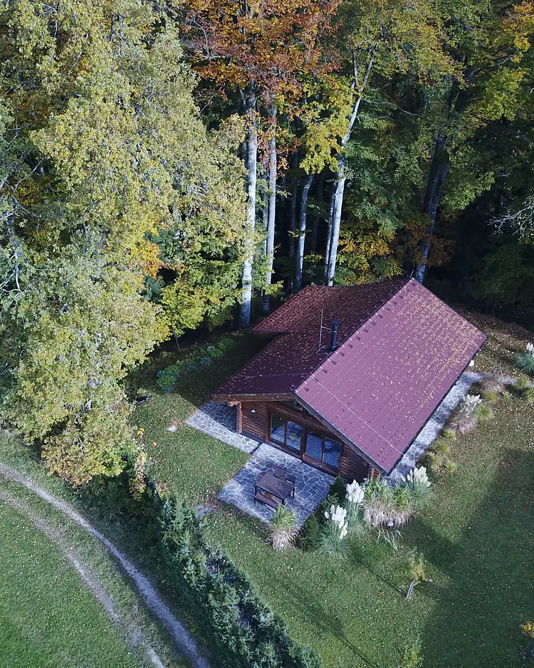 Hütte am Wald - Hof bei Salzburg, Österreich | Good Travel