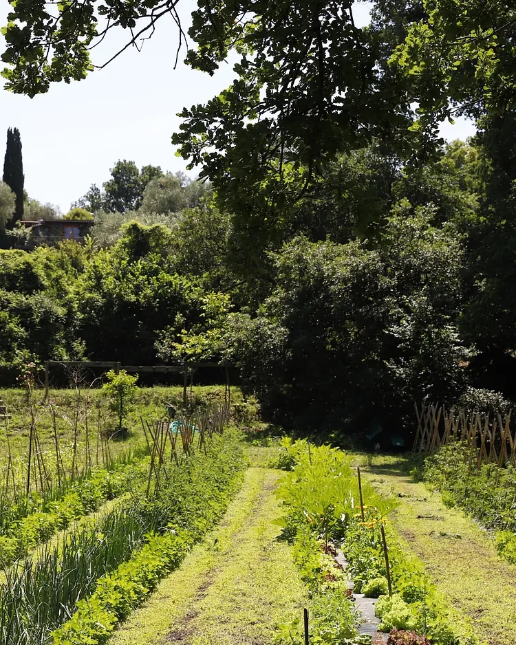 Madonella Agricola - Rom, Italy | Good Travel