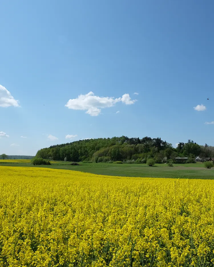 Landhaus Fredenwalde - Gerswalde, Deutschland | Good Travel