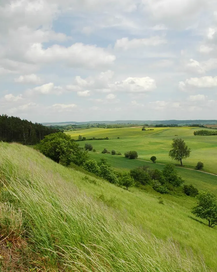 Landhaus Fredenwalde - Gerswalde, Germany | Good Travel