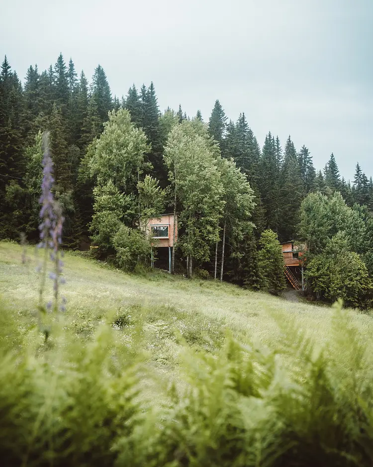 LAUV Treetop Cabins - Feiring, Norway | Good Travel