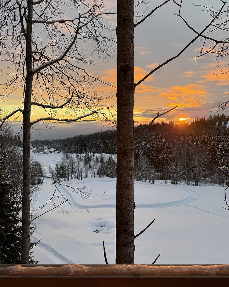 LAUV Treetop Cabins - Feiring, Norway | Good Travel