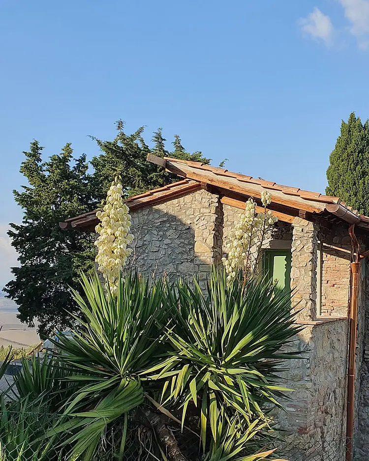 Capraleccia - Orciatico, Italien | Good Travel