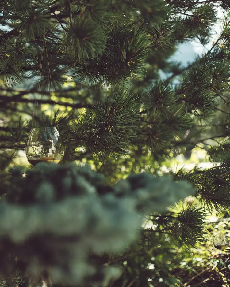 B&B Mia Majon - Canazei, Italien | Good Travel