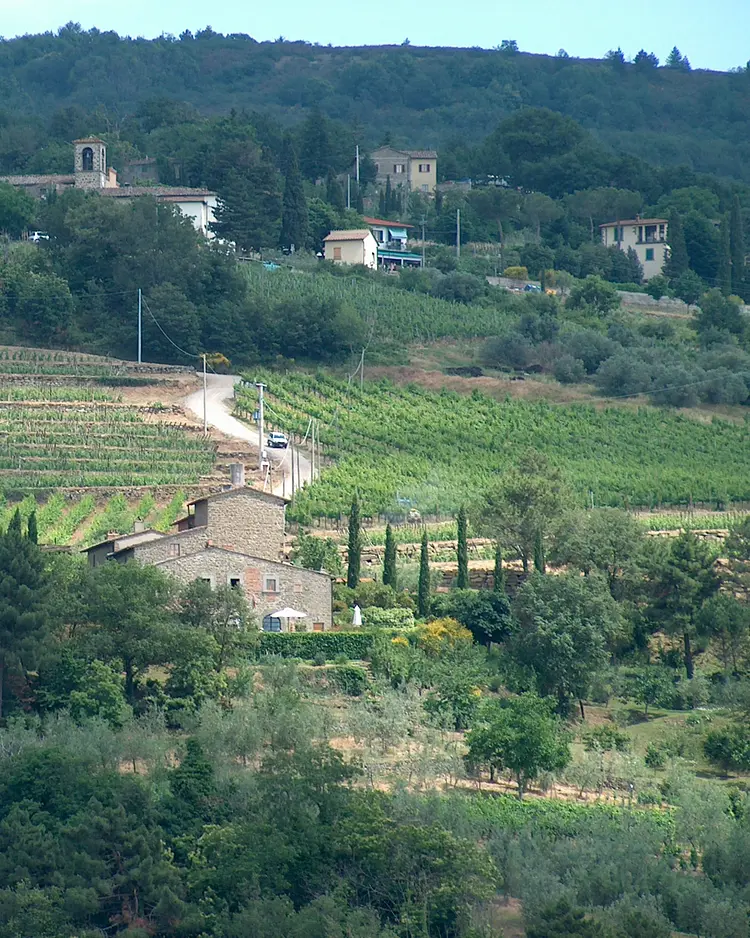 CampoLungo - Greve in Chianti, Italien | Good Travel