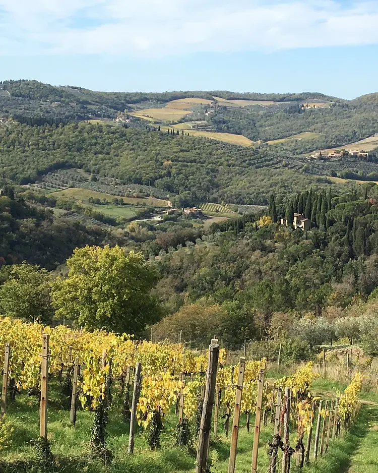 CampoLungo - Greve in Chianti, Italien | Good Travel