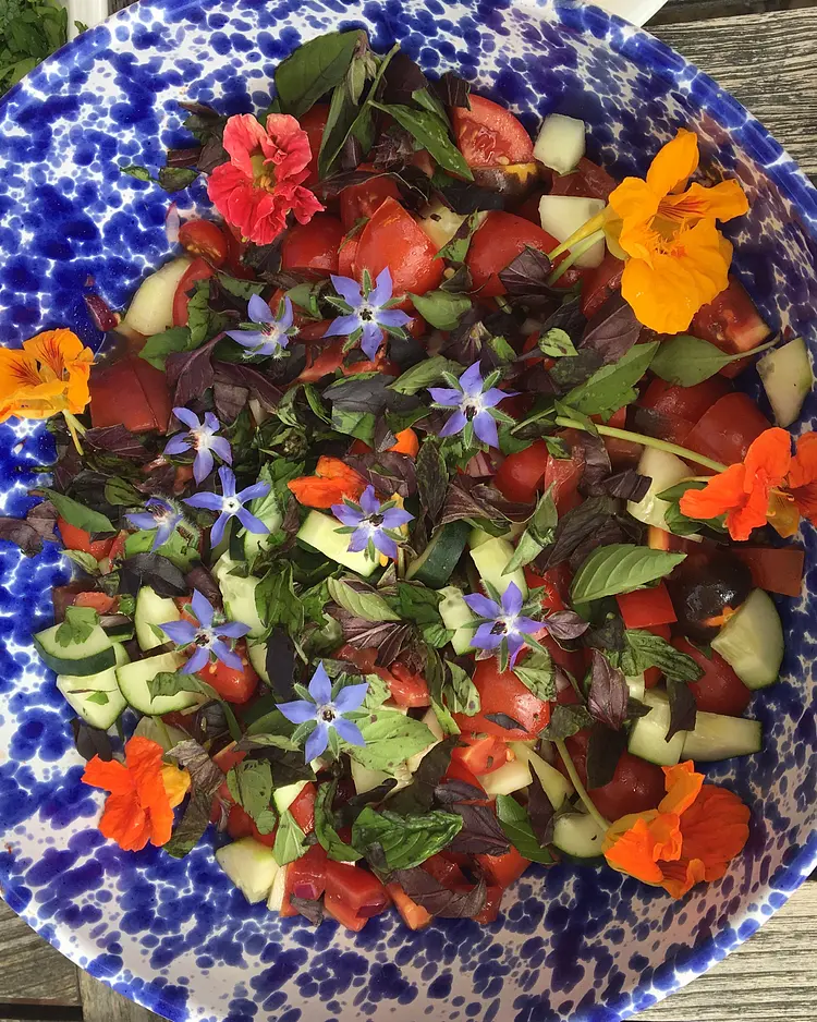 CampoLungo - Greve in Chianti, Italien | Good Travel