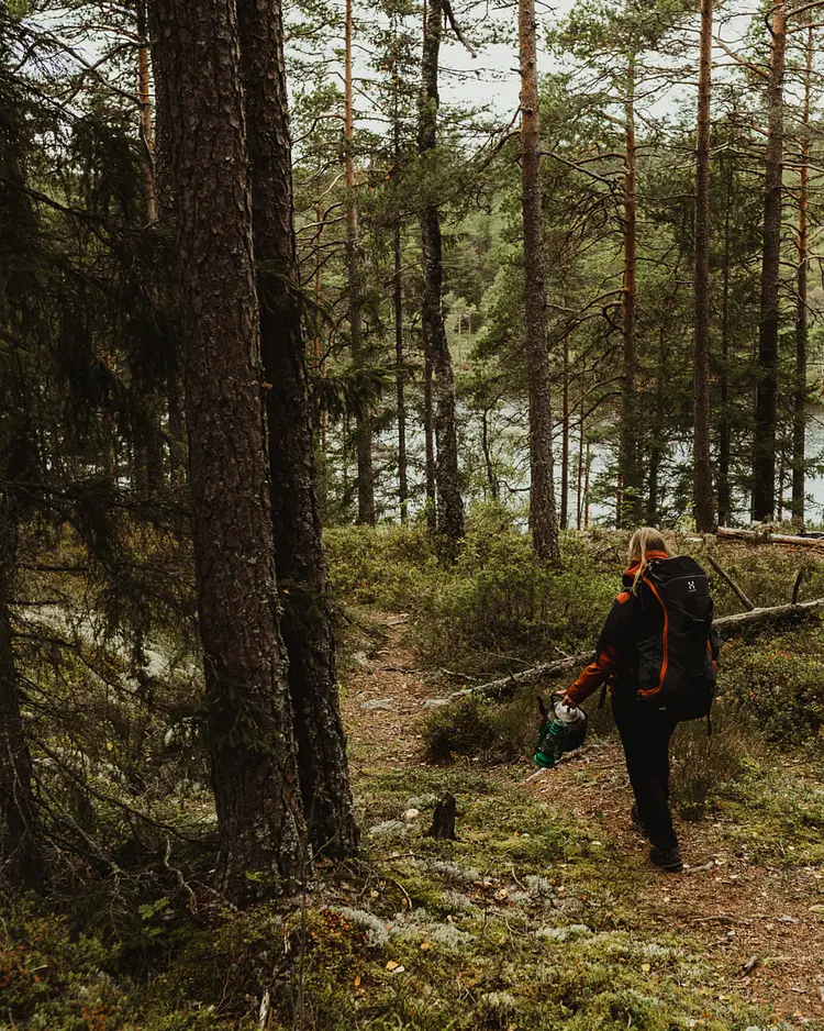 Hafsrød - Halden, Norway | Good Travel
