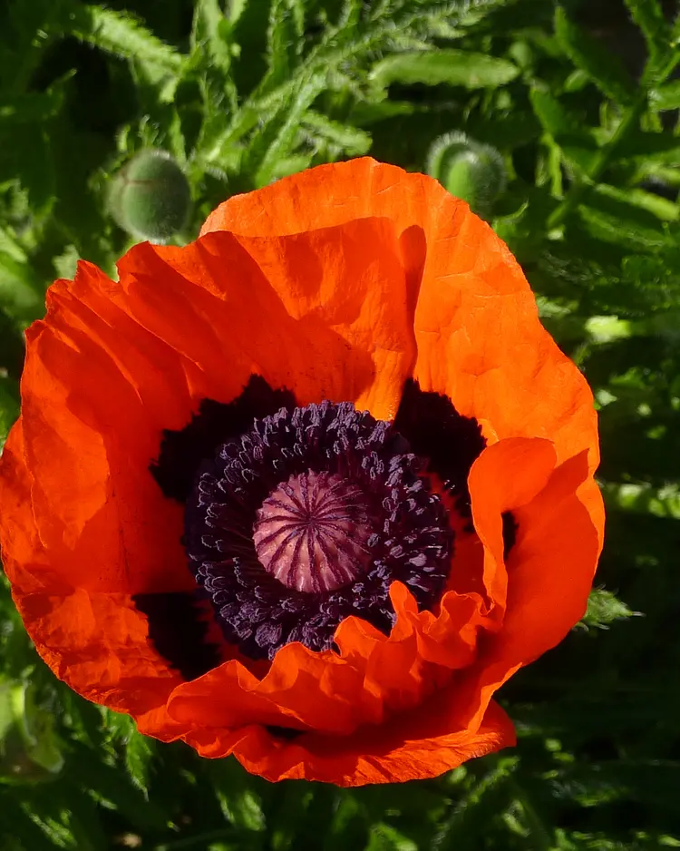 CampoLungo - Greve in Chianti, Italien | Good Travel