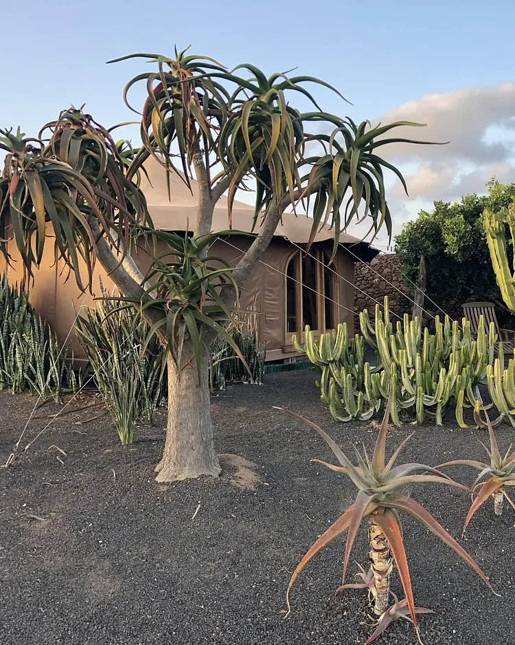 Jaima Teseguite - Lanzarote, Spain | Good Travel