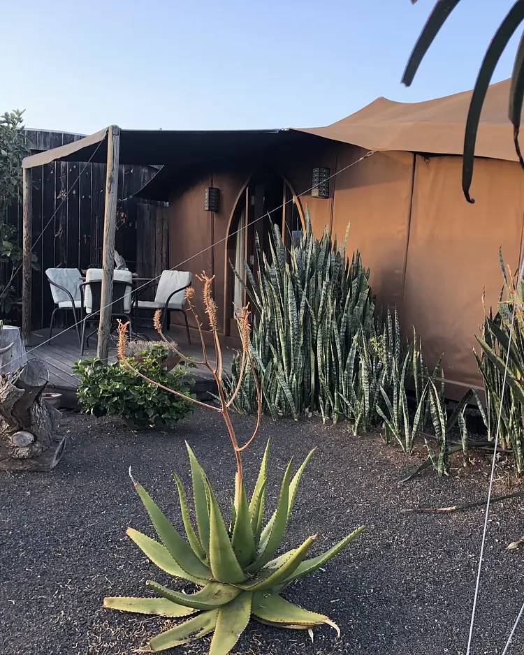 Jaima Teseguite - Lanzarote, Spanien | Good Travel