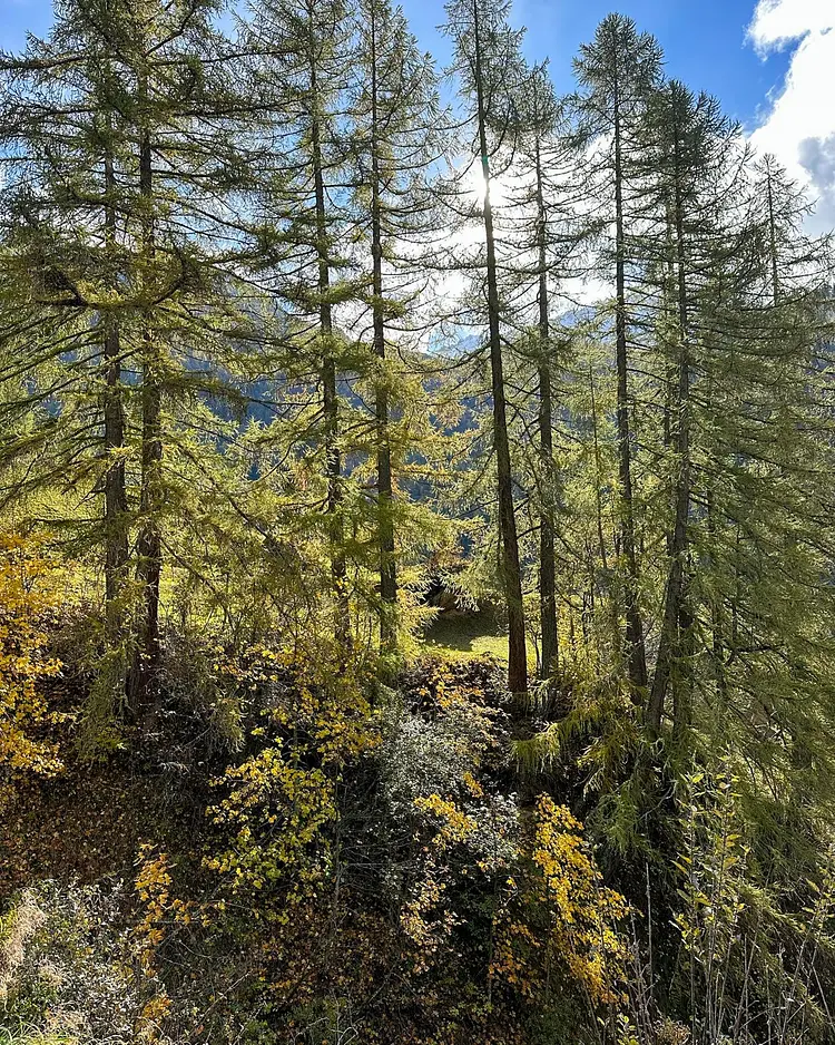 Josihaus - Martisberg, Switzerland | Good Travel