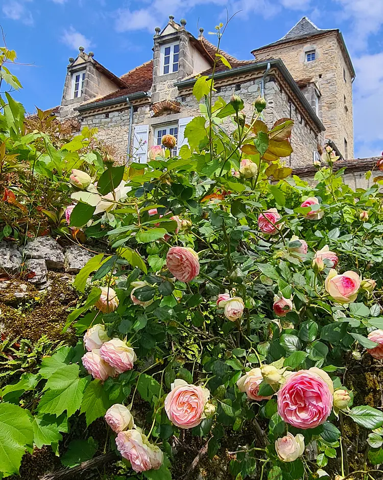 Chateau Plagne - Bétaille, Frankreich | Good Travel