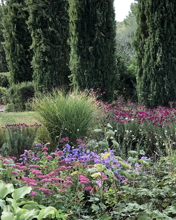 CampoLungo - Greve in Chianti, Italy | Good Travel