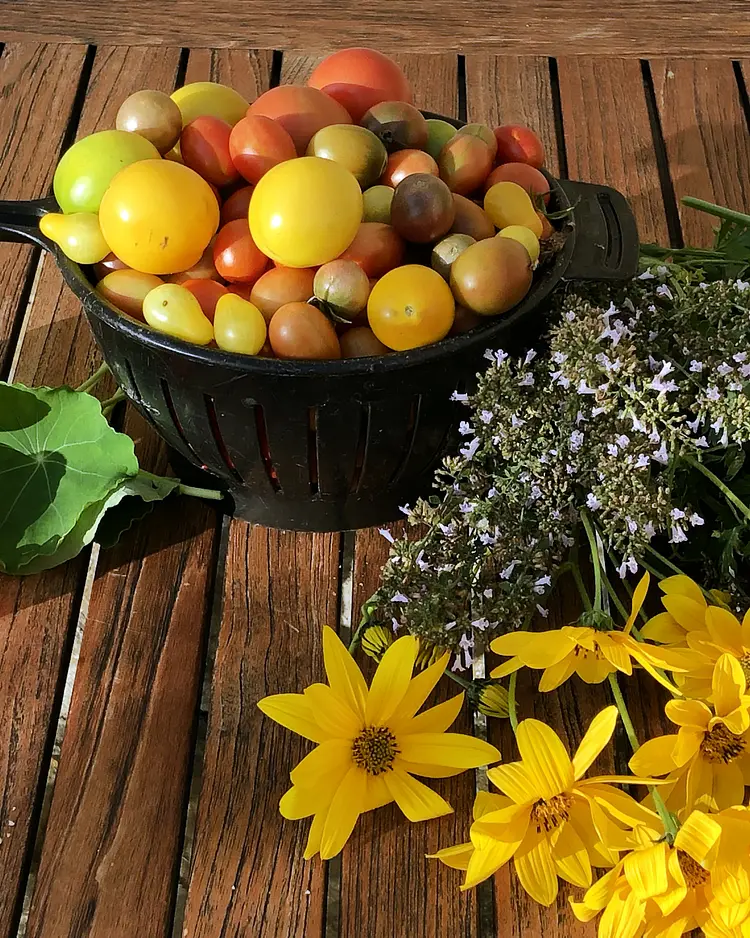 CampoLungo - Greve in Chianti, Italy | Good Travel